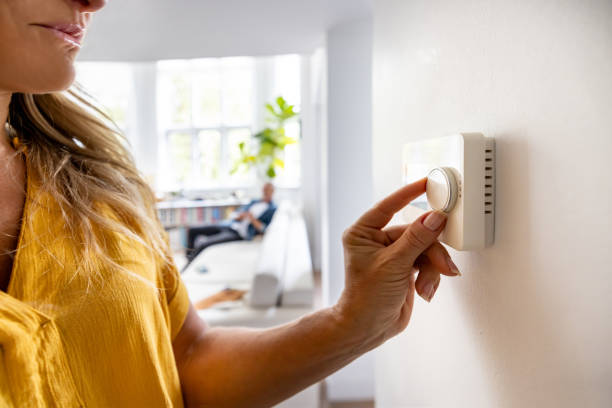 Best HVAC tune-up services  in Carson City, MI